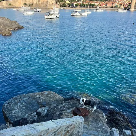 L'evasion A - Piscine Et Vue Διαμέρισμα Κολιούρ